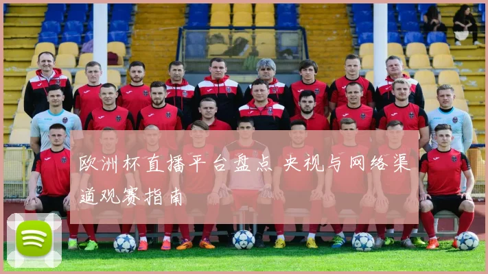 欧洲杯直播平台盘点 央视与网络渠道观赛指南
