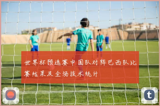 世界杯预选赛中国队对阵巴西队比赛结果及全场技术统计